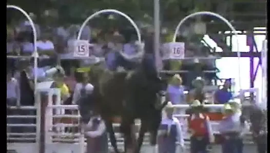 calgary izdihamda şeker örnekleri