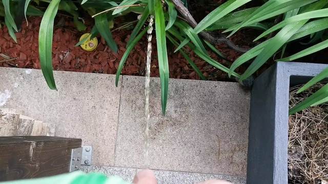 bahçede açık havada pissing