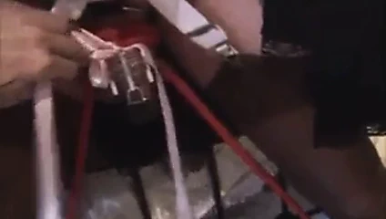 Angelica top esnemeler