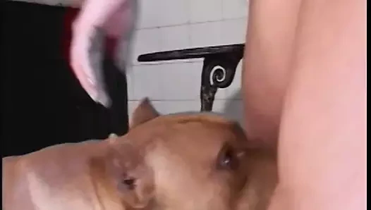 adam onun dizlerinin üzerinde emme kapalı the transeksüel sonra lanet onu