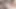 İri göğüslü hatunlar Kailani Kai ve Kristine Kiss birbirlerinin göğüslerini emiyor