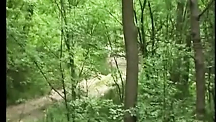 Sırp bir kızın maceraları