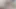 Zenci kızlar beyaz bir yarağa sakso çekiyor ve döl değiştiriyor