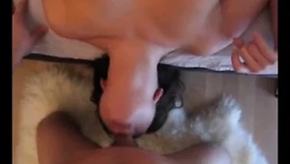 harika alman derin boğaz