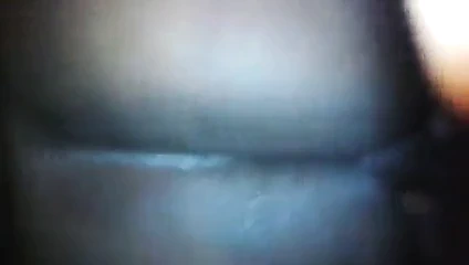 Benim bbc içinde ona şişman kedi