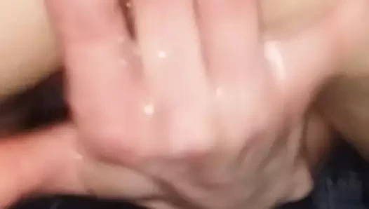 kedi ve eşek bulucu