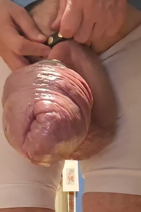 Şişman Bobble Gösterisi!