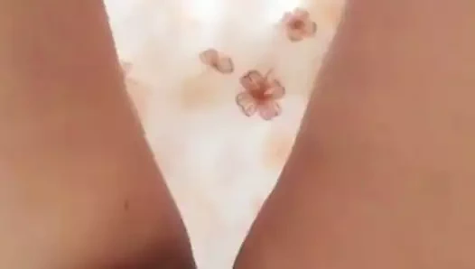 Tay parmak onu saç kedi