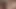 Orta yaşlı seksi kadın oğlunun yarağını emiyor