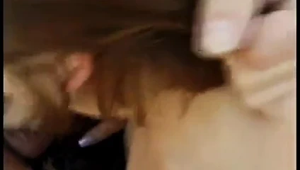 Latina bj... hala öğreniyor