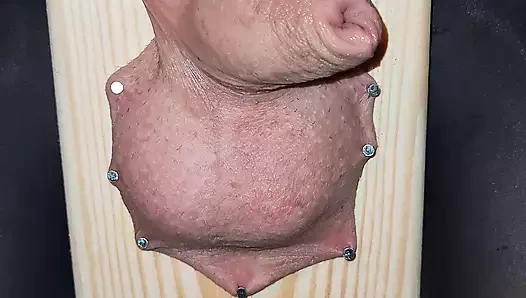 Yarak ve taşak işkencesi