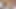 Rauchen und Ficken Mobile Video