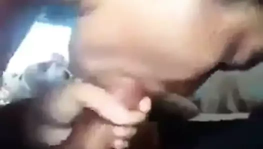 Vahşi