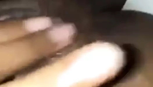 belle chatte metisse malbareise