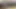 Misterfake sıkı amatör kedi neden ajanlar horoz için darbe