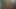 Koreli porno yıldızı