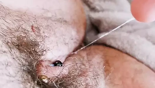 ıslak tombul kıllı KEDİ