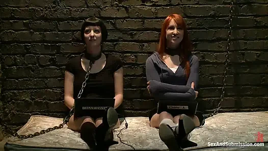 Calico ve Cherry Torn'un canlı yayını