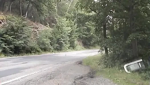 Avrupalı genç kız yol kenarında sikiliyor