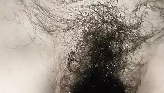 Hairy Pussy