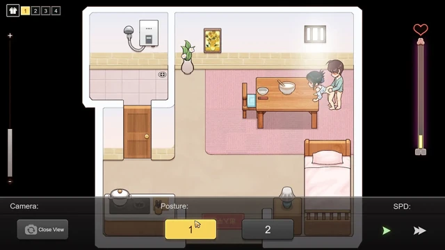 Onu Evinde Siktim - 2D Video Oyunu