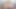 Dani Jensen yeni patronunu 31 talimatı ve dildoyla sikişerek işi alıyor