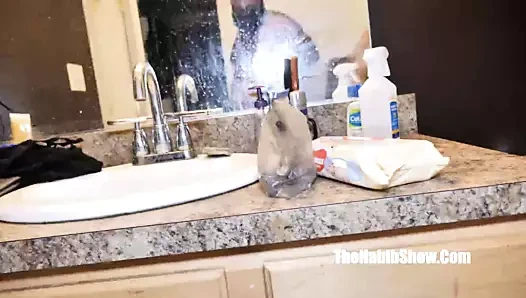 Bal can yutmak 6 inç çük ona abanoz kedi fire