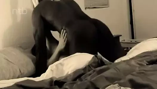 Erotik ırklararası