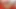 Büyük yapay penis oyun için busty bebek sofia lee