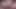 Auntjudysxxx - 43 yaşındaki büyük memeli esmer orta yaşlı seksi kadın Jessica Sin pencere temizleyicisini sikiyor