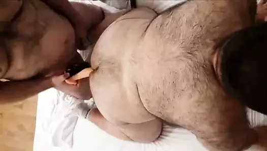 Kıllı tombul ayı becerdin