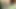 Hintli çocuk porno videosu full hd