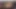 Egzotik büyük memeli anissa kate anal dildo hayranları için canlı sikişiyor