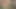 Maggiee Ananyev oyuncaklarla seks yapıyor ve mastürbasyon yapıyor