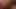 bbc ırkları benim sıkı beyaz KEDİ