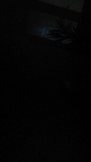 Rumen otel inleme 81019