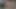 Sulu eşek orgazm her yerinde büyük siyah horoz. anal köpek.