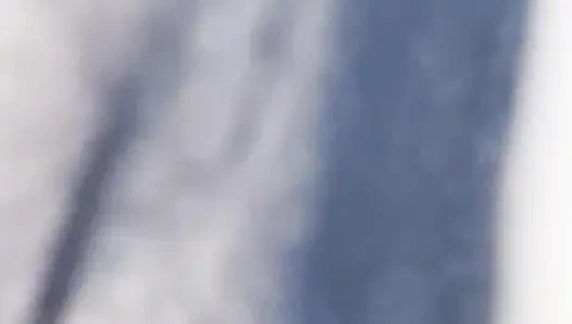 HINTLI ÇIFT DOMALTARAK SEKS YAPıYOR