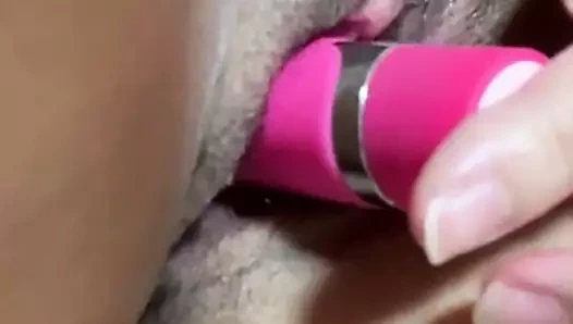 Chinese lin milks ona tatlı kıllı küçük kedi