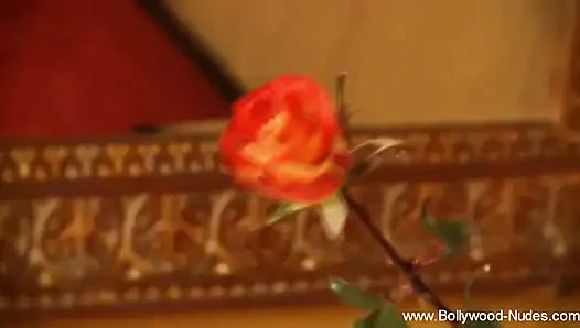 Bolly Dancer'ın şehvetli sanatı