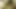 Amatör çift aşağı iniyor ve edepsizce
