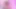 Seksi azgın sürtük Cuttie Jennie yatakta seks oyuncaklarıyla oynuyor.