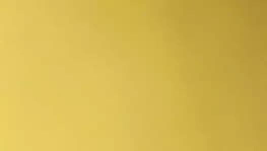 Onu arkadan becerdim