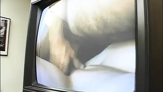 Büyük memeli dövmeli tombul evde sikişiyor