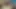 üvey kız kardeşi ile kocanın horoz paylaşımı - üçlü oral seks