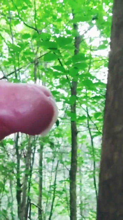 My seed is on this tree | Clip 1