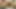 Seksi evli kadın göt tıkacı sokuyor ve orgazmla iyi bir yolculuk yapıyor