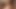 3some için kıllı kedi lyla lei