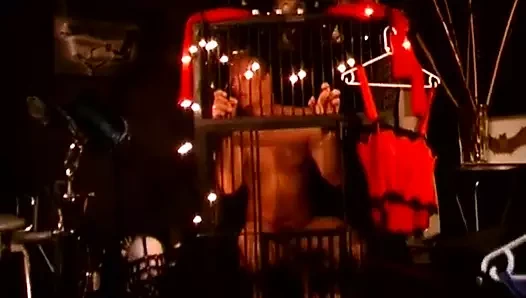 Büyük memeli kadın egemenliği sahibesi tarafından cbt'in yeni bir bölümünü alabilmek için kafesten çıkan köle serbest bırakıldı