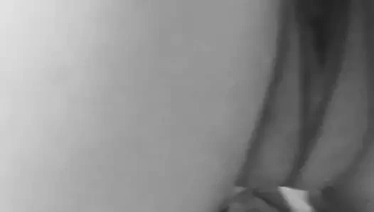 ıslak küçük güzel KEDİ